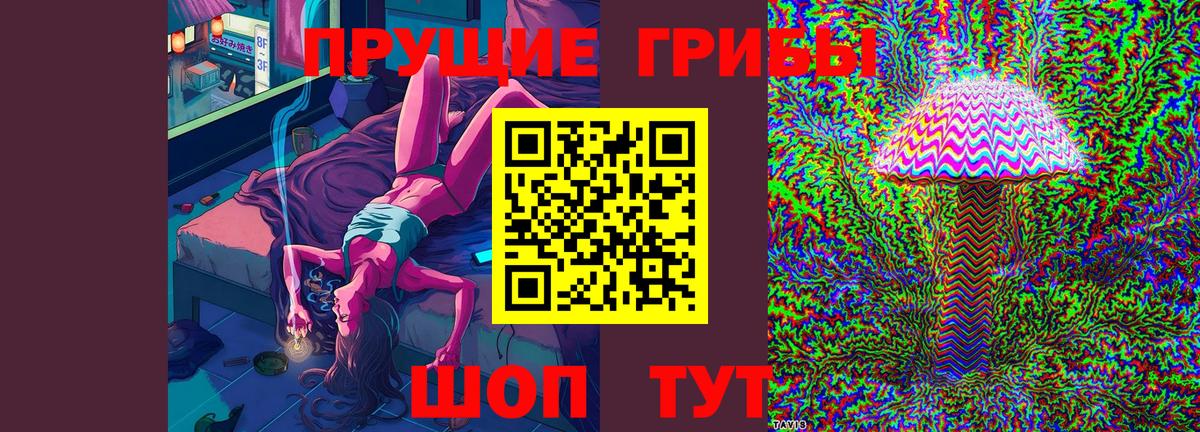 Галлюциногенные грибы прущие грибы  Вход с VPN  где продают наркотики  Калининград 